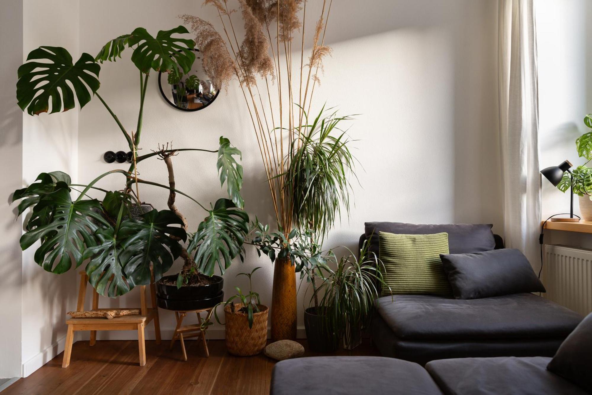 Evergreen - Old Town Spacious Stylish Apartment With Ac And One And A Half Bath, Baby & Kid- Friendly Bratislava Luaran gambar
