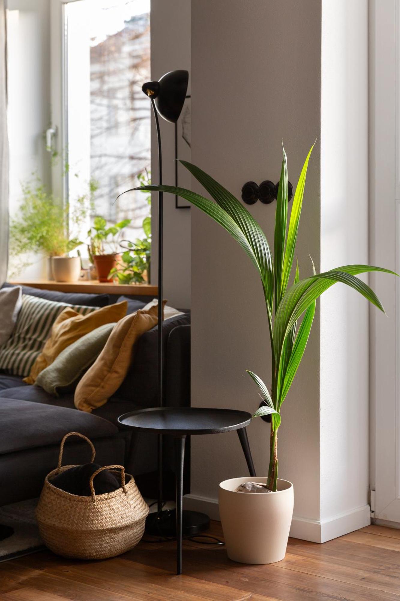 Evergreen - Old Town Spacious Stylish Apartment With Ac And One And A Half Bath, Baby & Kid- Friendly Bratislava Luaran gambar